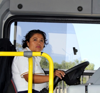 stunam pumabus
